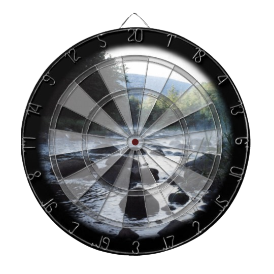 Stony Brook Dartboard